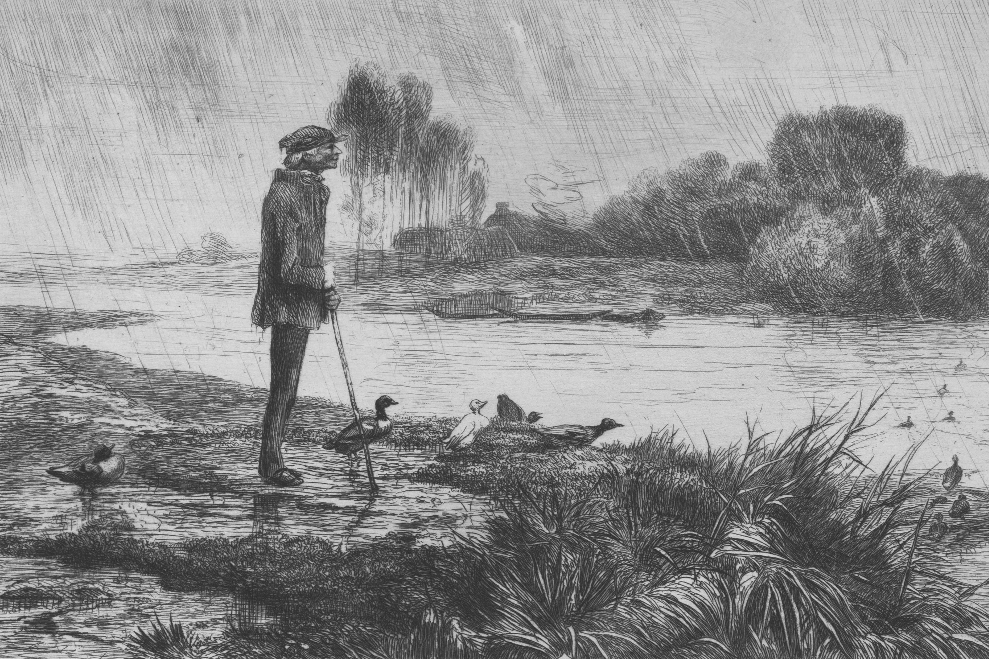 Stormwater Quality thumbnail